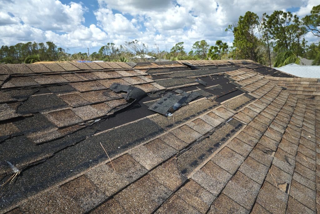 Damaged shingles on a roof