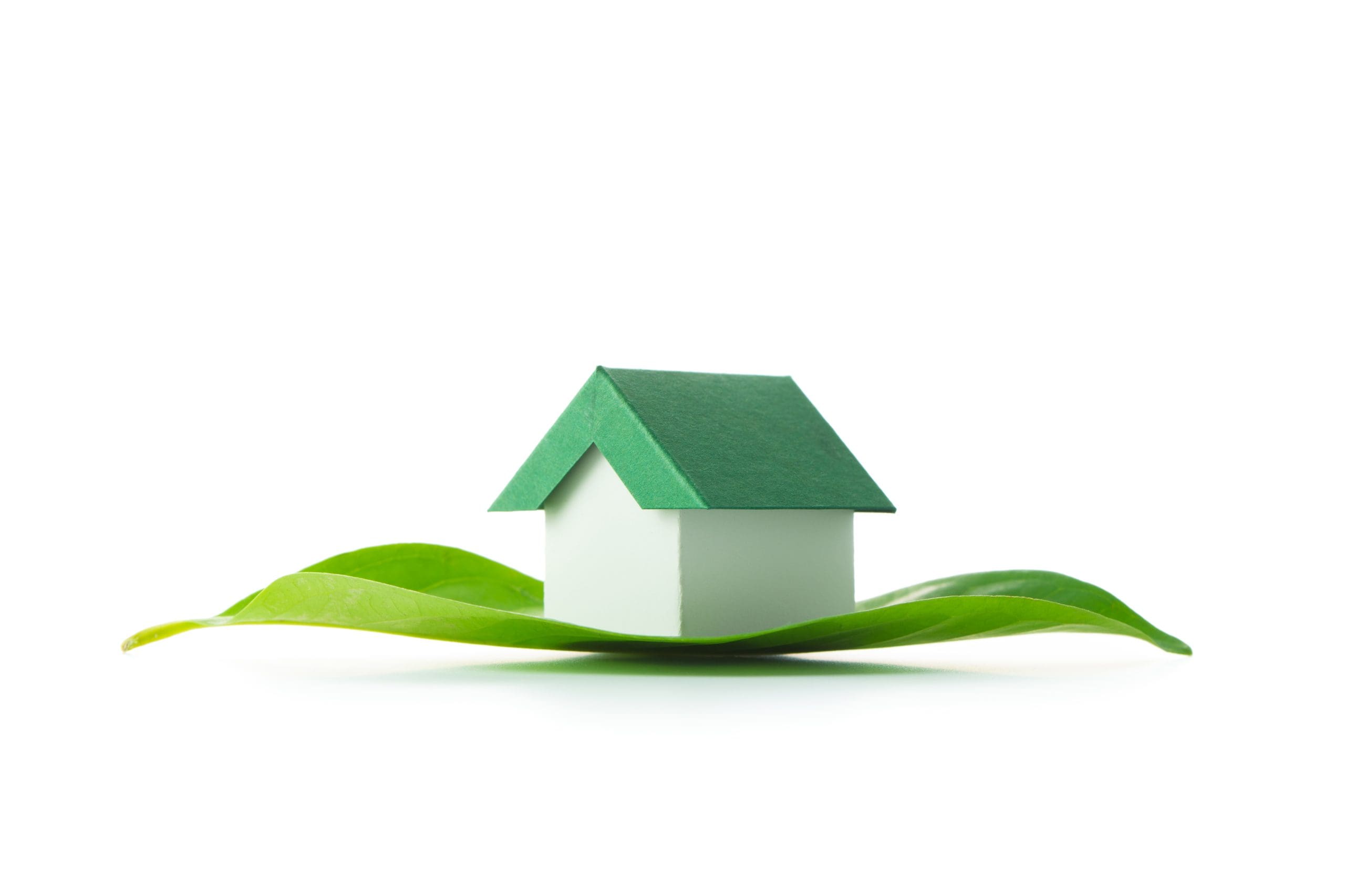 7 Green Improvements for Your Home