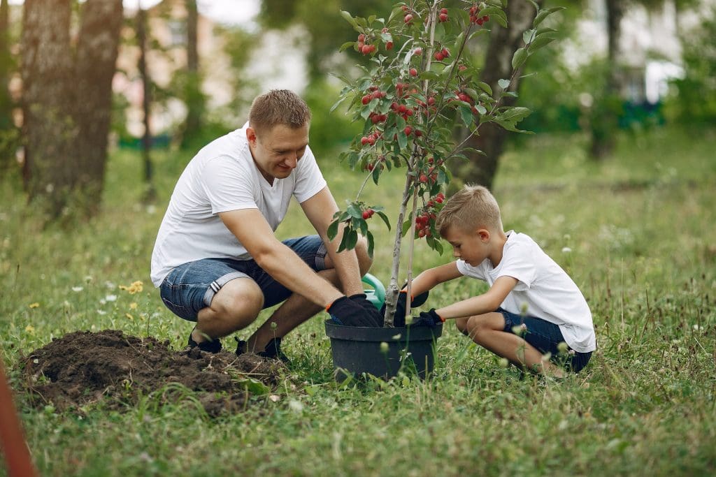 Father with son planting a tree. 