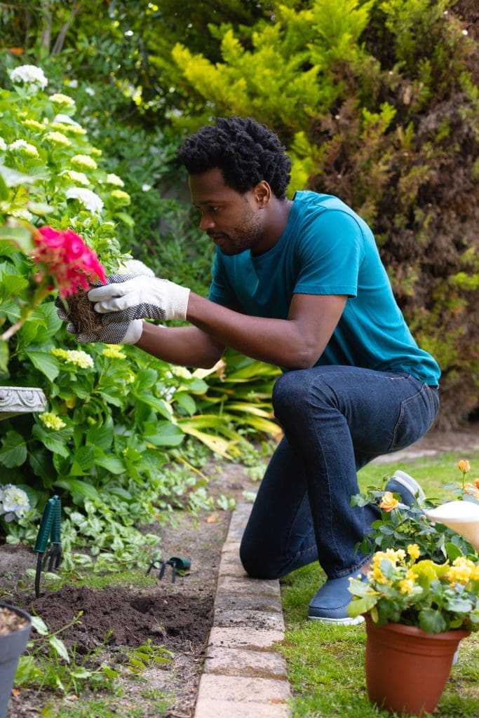 Man planting in flowerbed