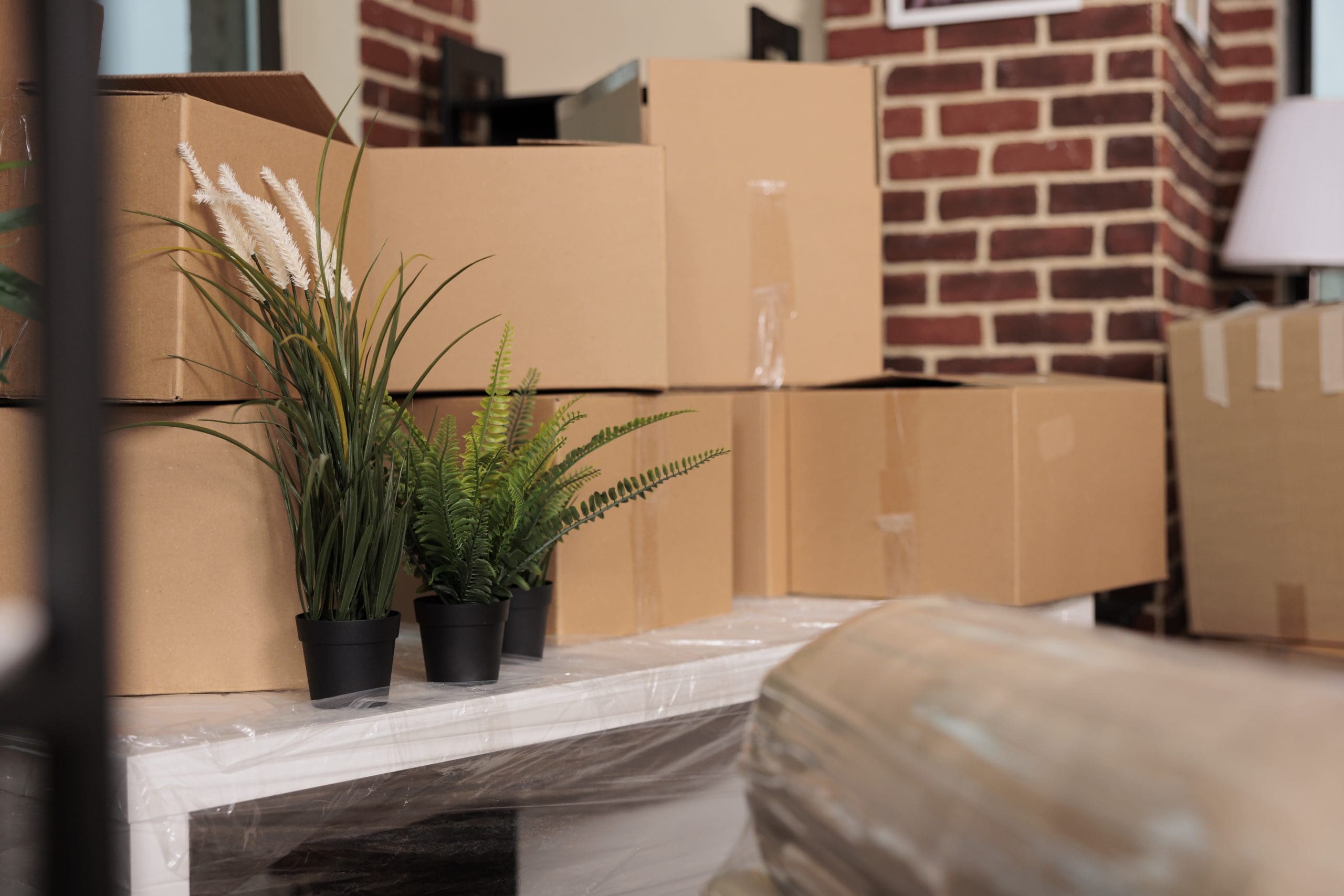 Tips for a Successful Relocation