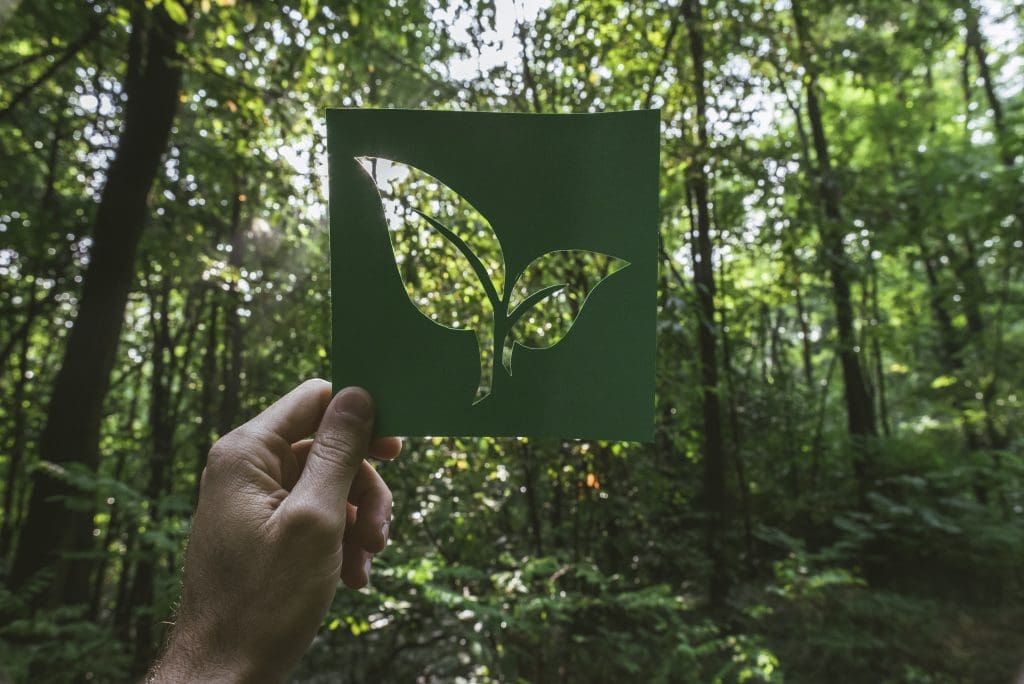 Hand holding eco friendly green living symbol