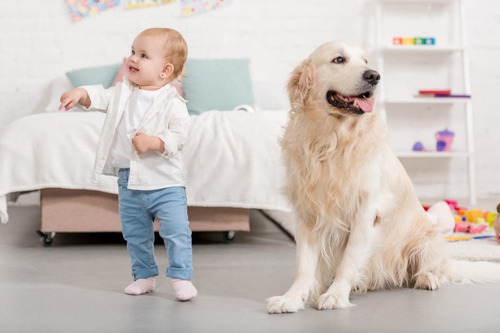 picture of toddler and dog in bedroom