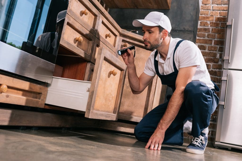 10 Essential Home Maintenance Tips for Homeowners. Pest control worker examining kitchen 