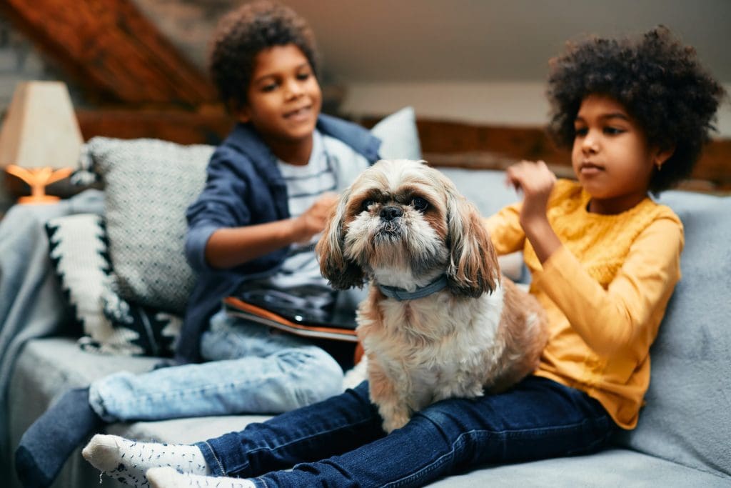 Relocation Made Easy:  Concept of child and pet care during move