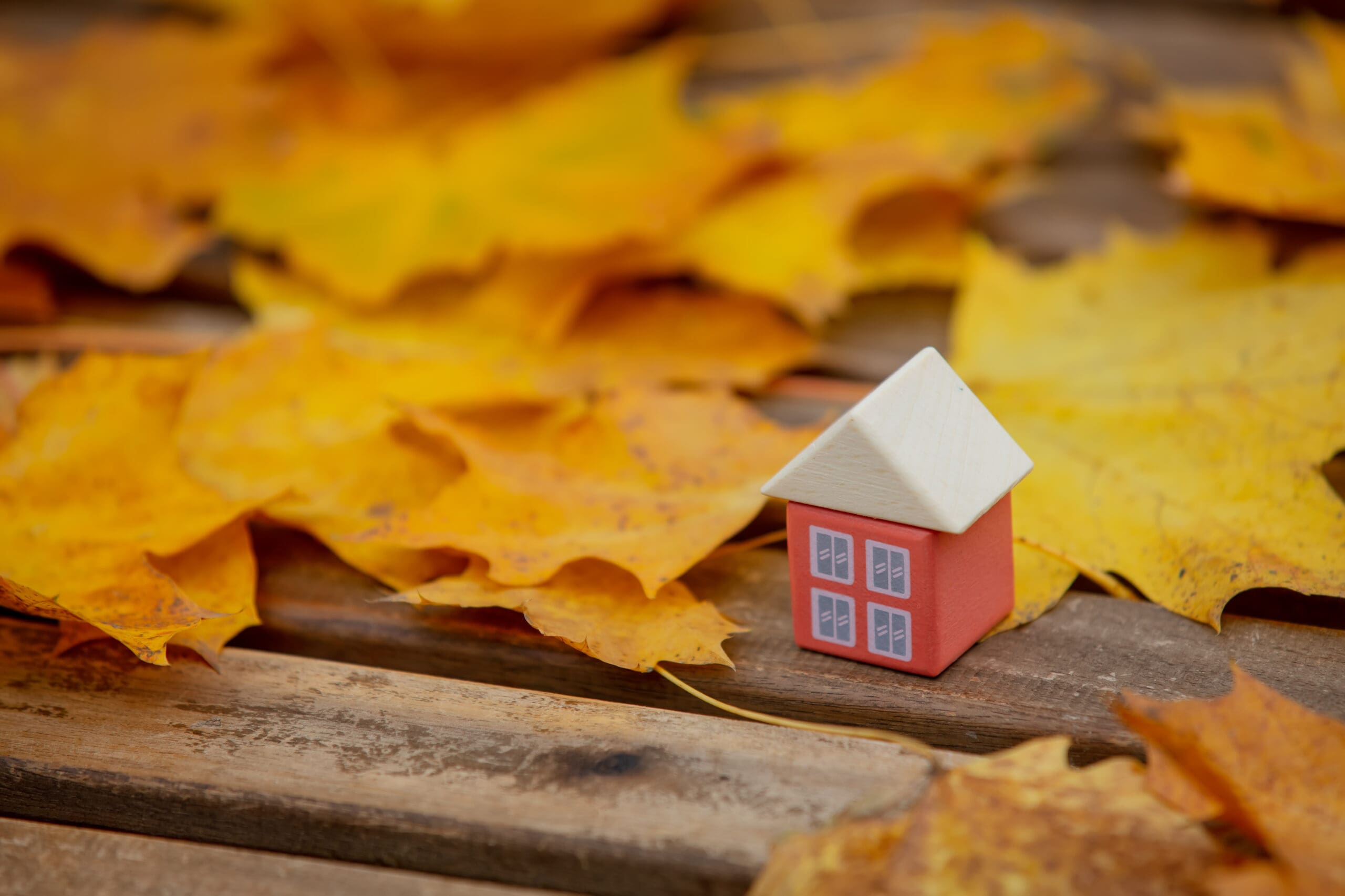 6 Essential Fall Home Maintenance Tips for a Cozy Winter