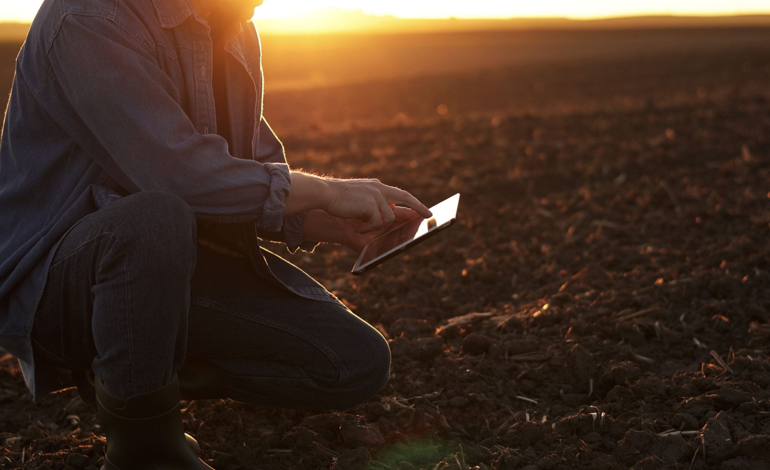 How to Research Property Soil Conditions and Geological Hazards for a Safe Investment