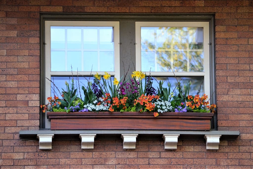 Boosting Your Home's Curb Appeal: Easy and Affordable Tips:  Window Boxes