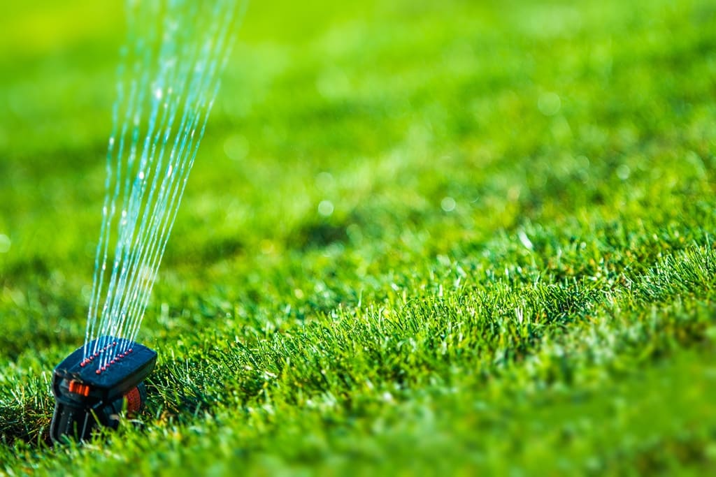 Expert Landscaping Tips to Boost Your Home's Curb Appeal:  Watering Needs