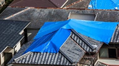 Roof Leak Detection: Save Money and Protect Your Home