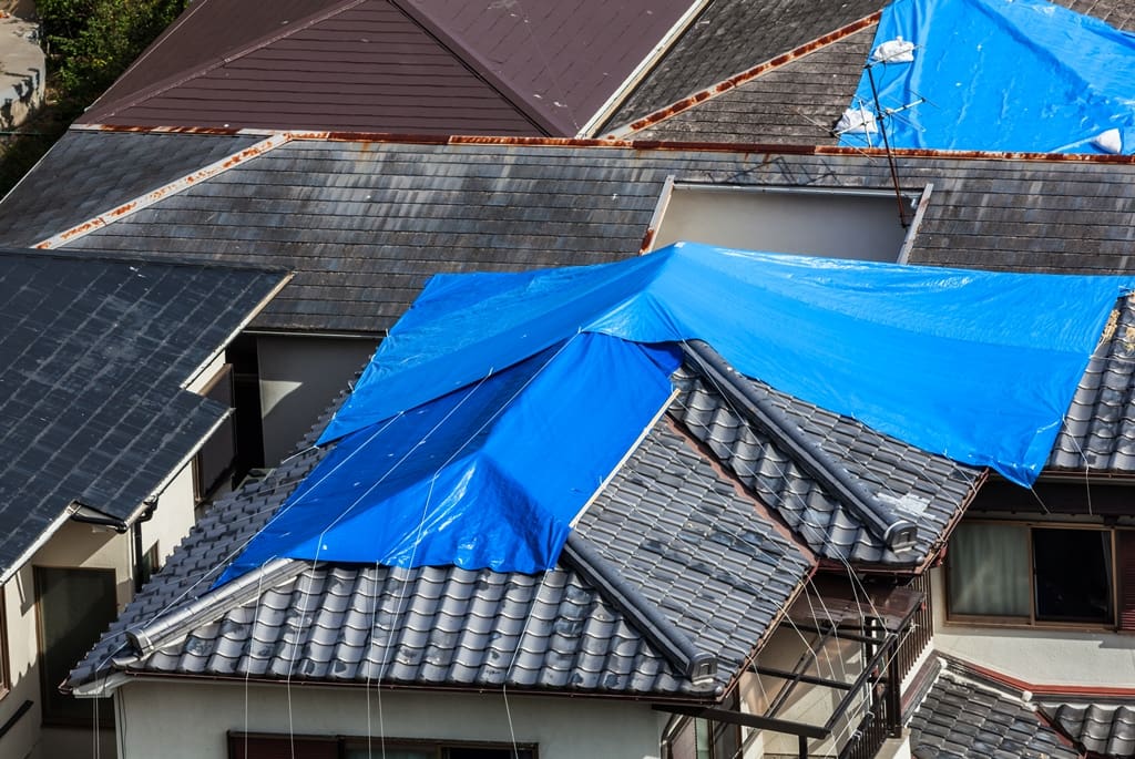 Roof Leak Detection: Save Money and Protect Your Home