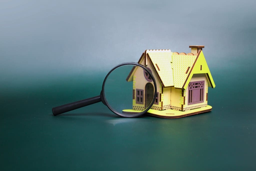 Is a Professional Home Inspection Really Necessary?