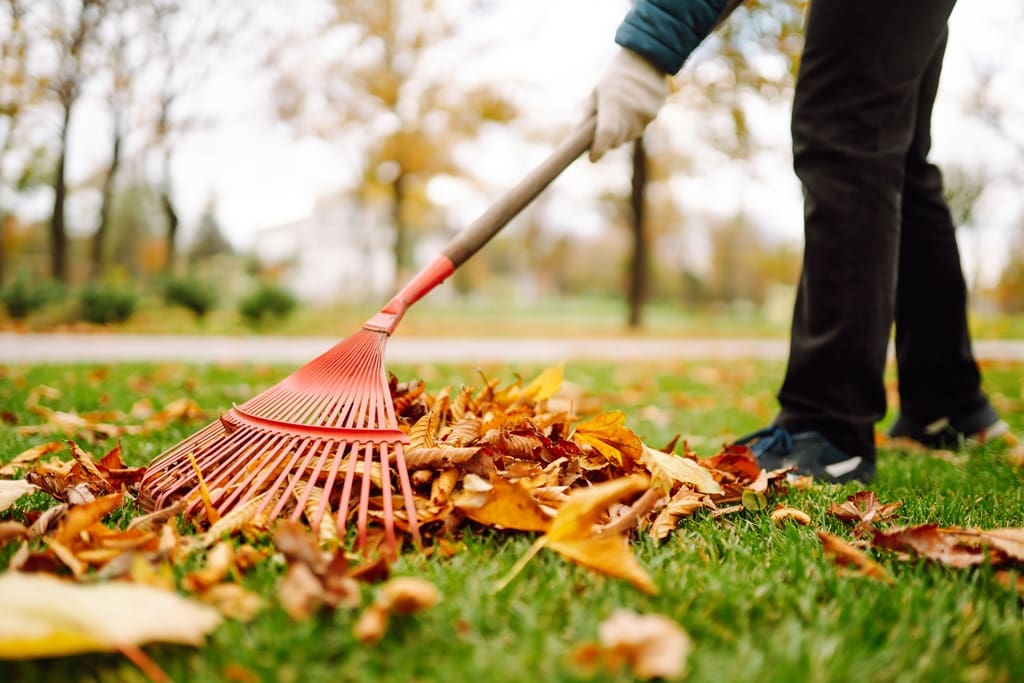 6 Ideas to Renew Your Outdoor Space for Fall:  Rake or Mulch Leaves