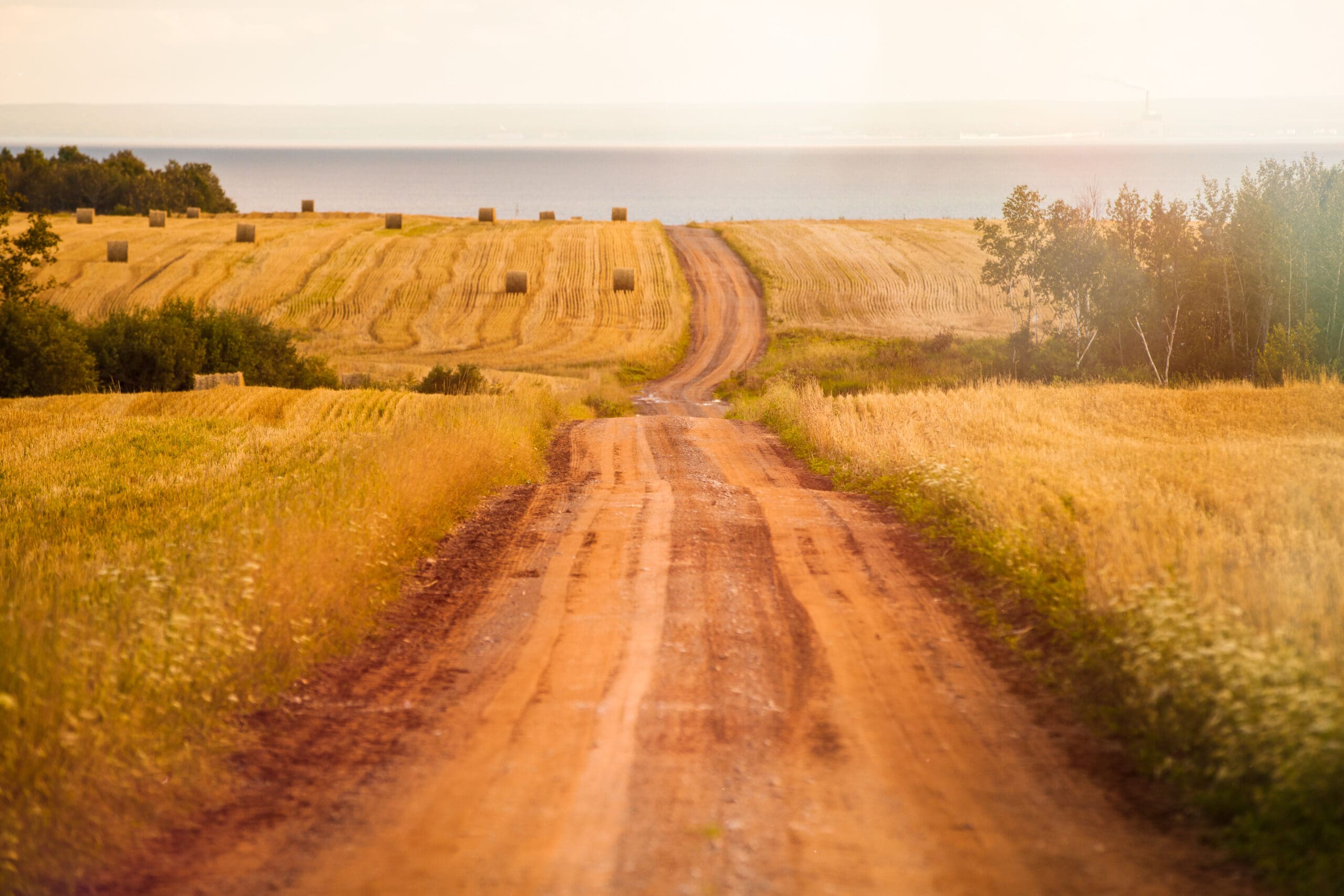 Rural Real Estate Investment:  What Buyers Need to Know