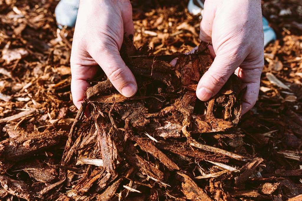 6 Ideas to Renew Your Outdoor Space for Fall:  Add Mulch
