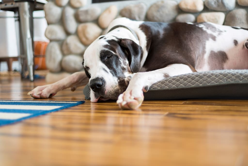 Boost Your Home's Value with These Green Upgrades: Sustainable flooring