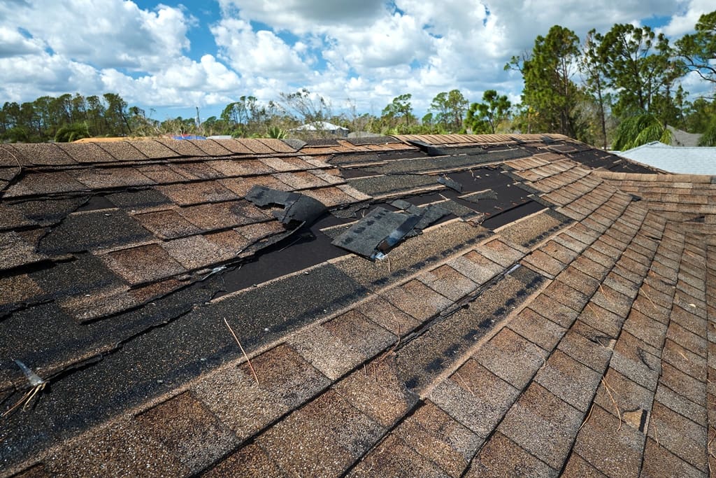 When Is It Time to Replace a Roof? Signs You Shouldn't Ignore:  Missing Shingles