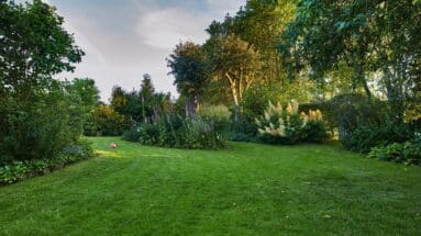 Spring Lawn Care: 7 Expert Tips for Homeowners