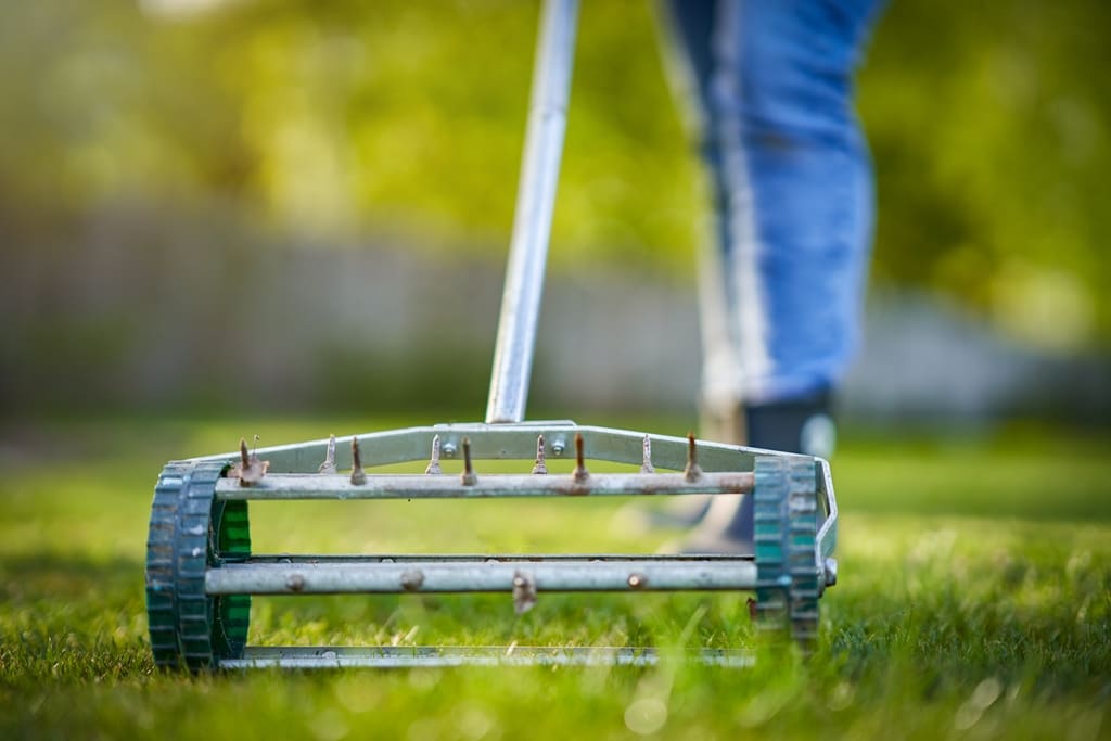 Spring Lawn Care: 7 Expert Tips for Homeowners:  Aerate the Lawn
