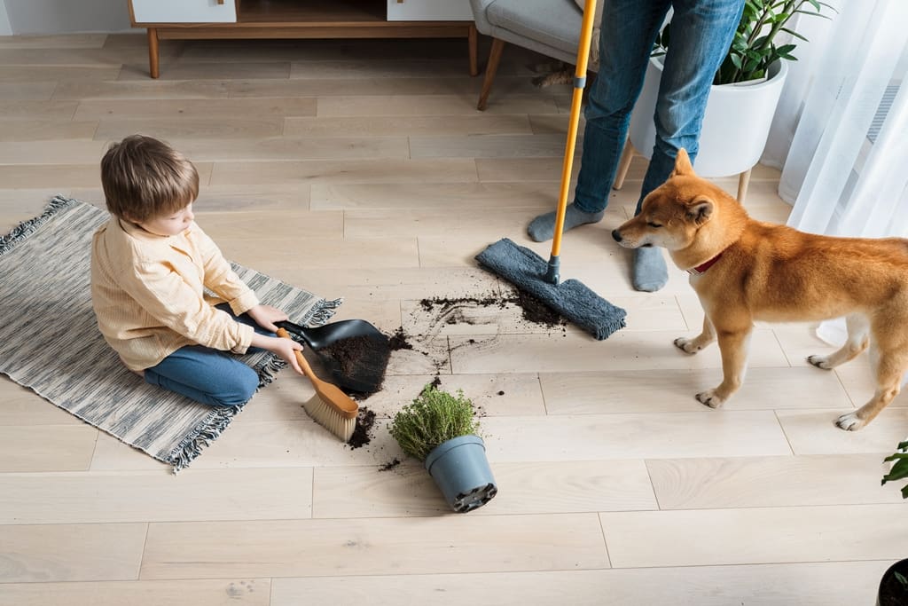 How to Select the Best Flooring Options for Your Home: Consider Your Lifestyle
