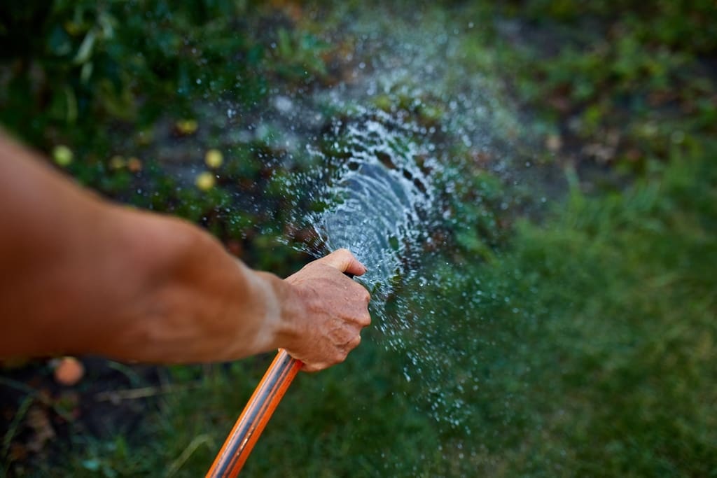 Mastering Lawn Care: Expert Tips for Homeowners:  Watering