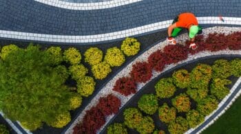 Top Landscaping Ideas for Your Home