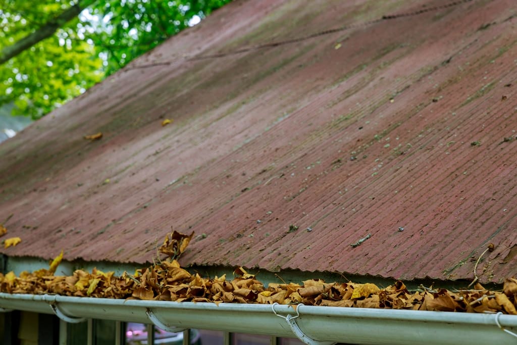 Essential Roof Maintenance and Repair Guidelines for Homeowners:  Clean Gutters