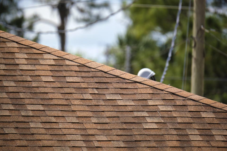 Top 5 Essential Spring Home Maintenance Tips:  How to Revitalize Your Home:  Check Roof and Siding