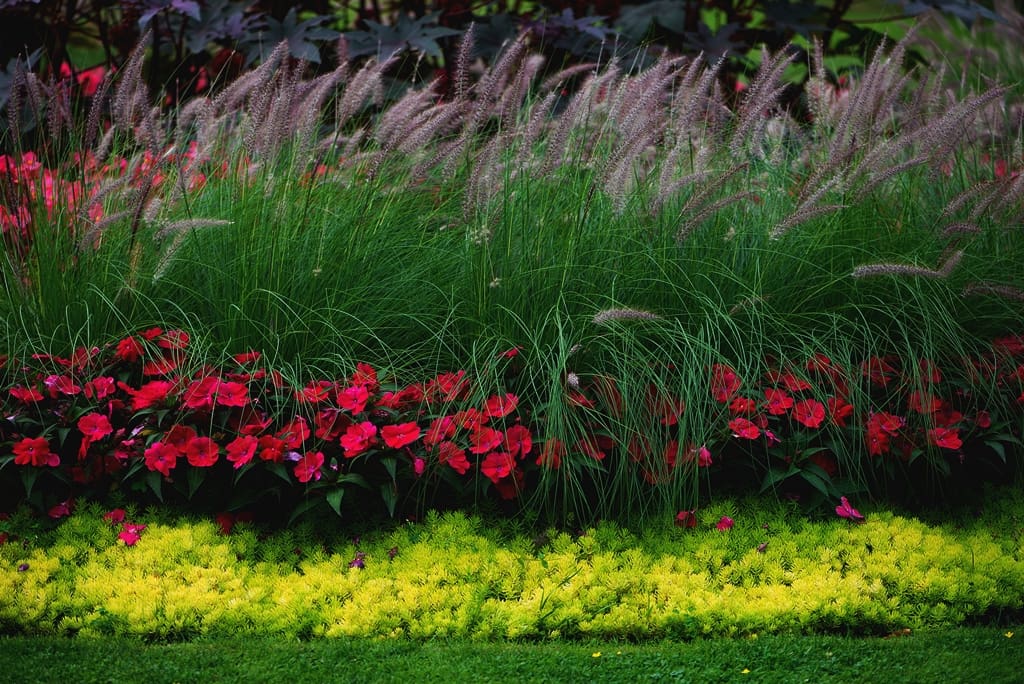 How to Choose Landscaping Plants That Enhance Your Home's Curb Appeal:  Create Depth and Texture