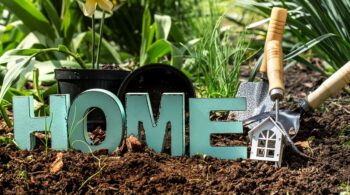 How to Choose Landscaping Plants That Enhance Your Home's Curb Appeal