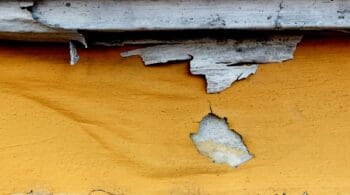 Lead Paint: How to Protect Your Family