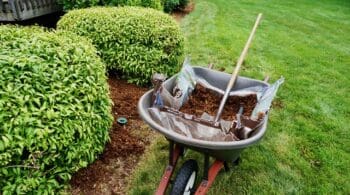 Selling Your Home? Top Landscaping Tips that Improve Curb Appeal