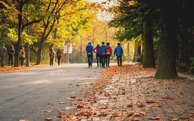 The Hidden Advantages of Purchasing an Older Home:  Established Neighborhood