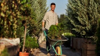 Your Complete Homeowner Spring Checklist to Protect Property Value