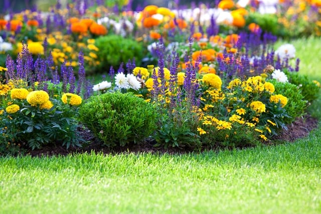 Why Selling Your Home in Spring Can Give You an Edge;  Curb Appeal