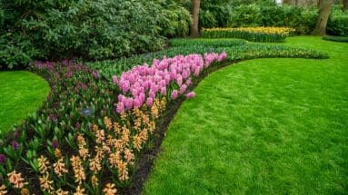 6 Landscaping Tips That Add Serious Value to Your Home