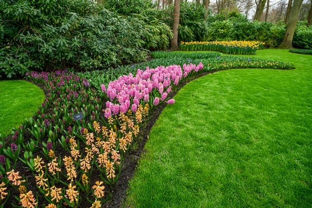 6 Landscaping Tips That Add Serious Value to Your Home