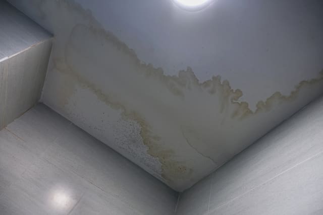 What to Look for During a Home Tour: An Expert Guide for Home Buyers: Water Damage